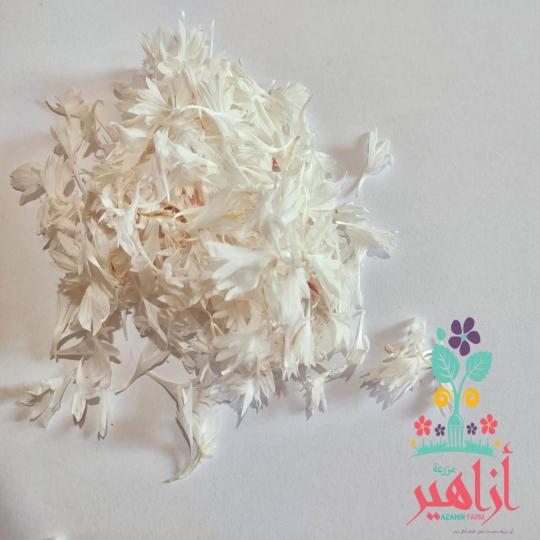 بتلات العنبر الابيض - فريش