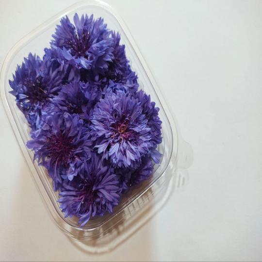 زهور العنبر الزرقاء